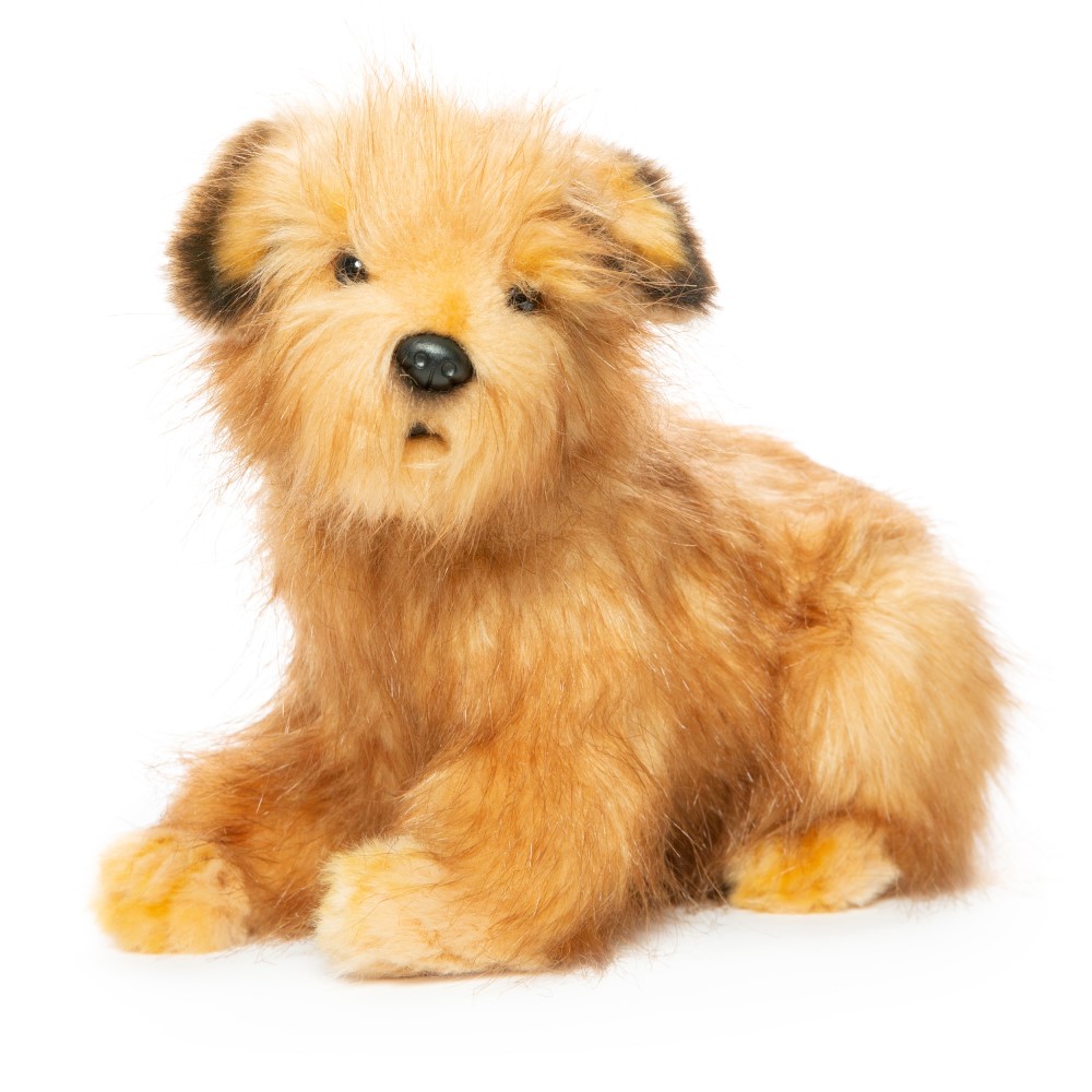 Norfolk Terrier Dog 23cmH