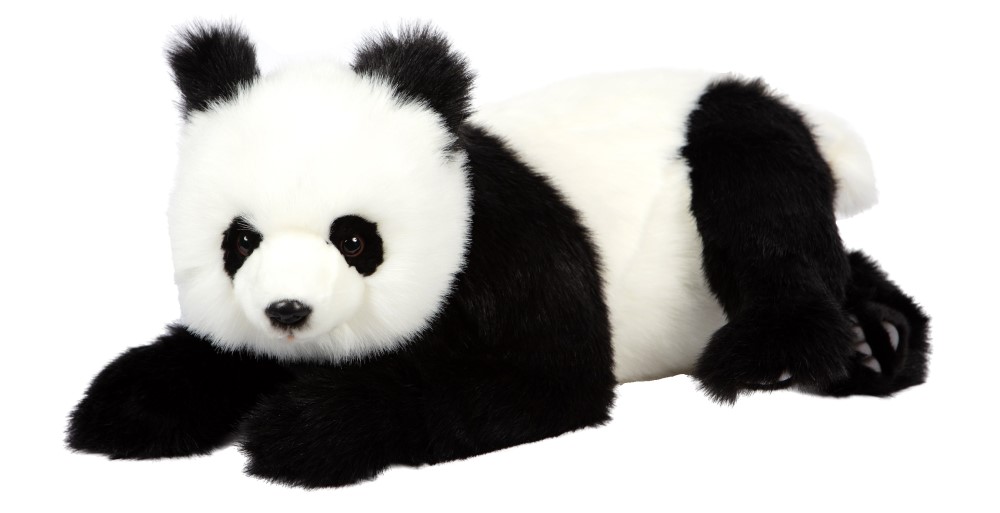 Panda Bear Cub Laying 62cmL
