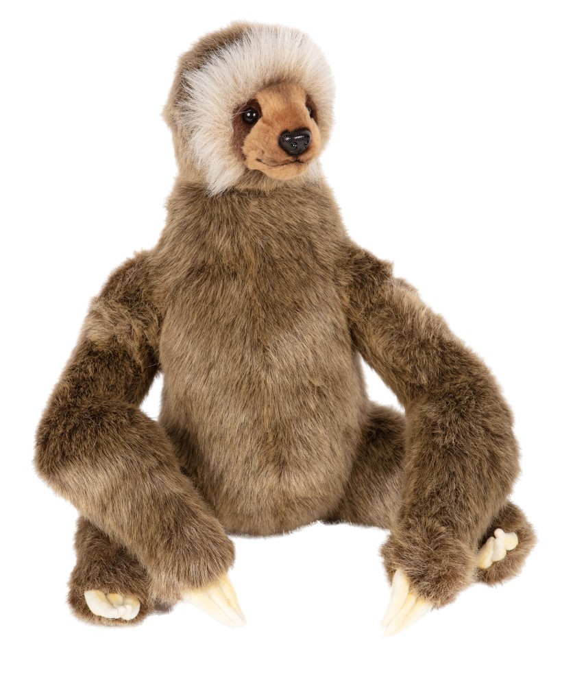 Sloth Three Toed 30 cmH