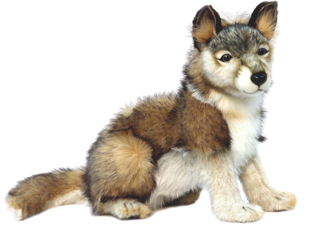 Grey Wolf Cub Sitting 32cmH