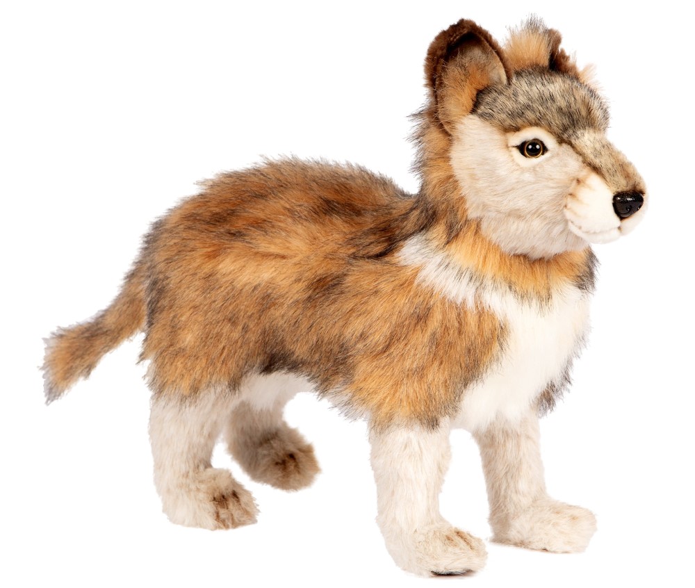 Grey Wolf Cub Standing 44cmL