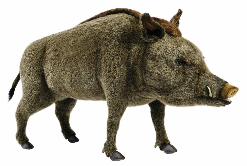 Wild Boar Standing 95cmH