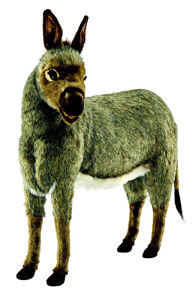 Donkey Baby 90cmH