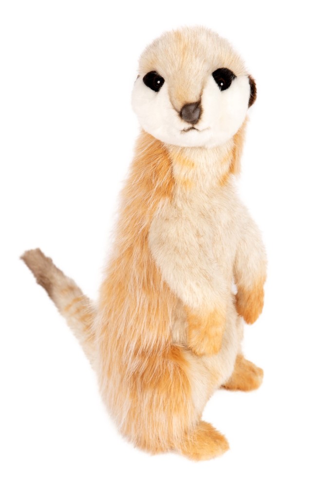 Meerkat 32cmH