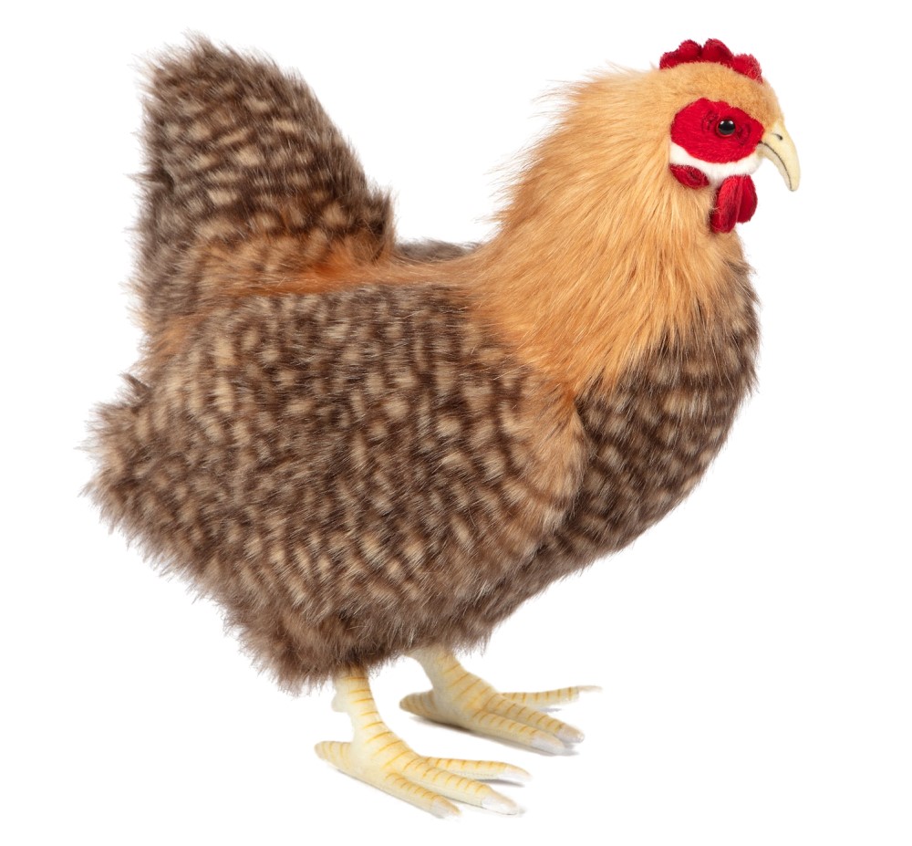 Hen (Beige) 35cmH