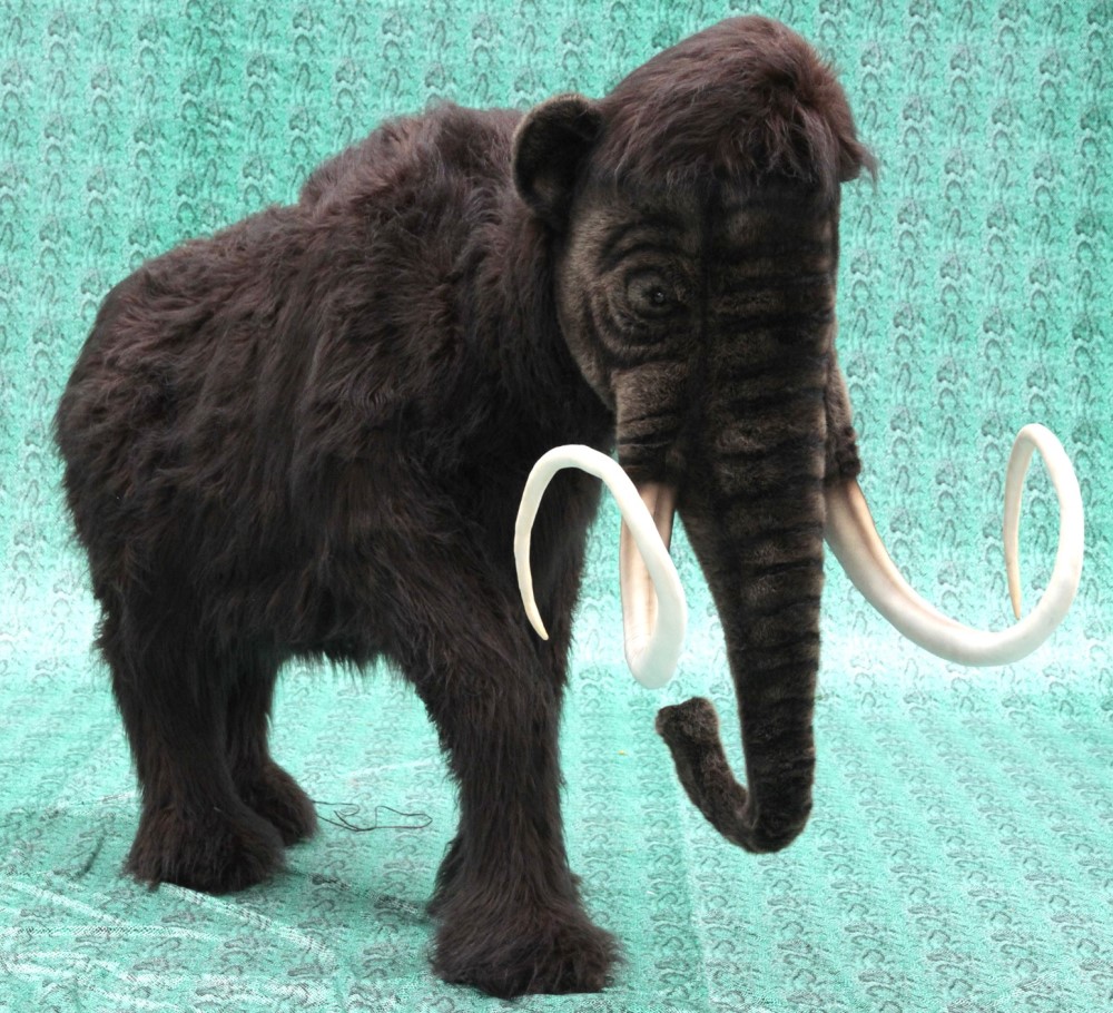 Mammoth 225cmL