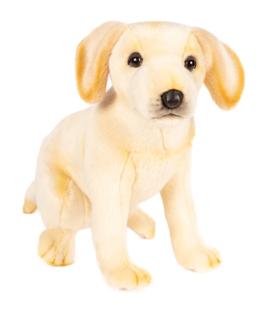 Labrador Pup Sitting 25cmH