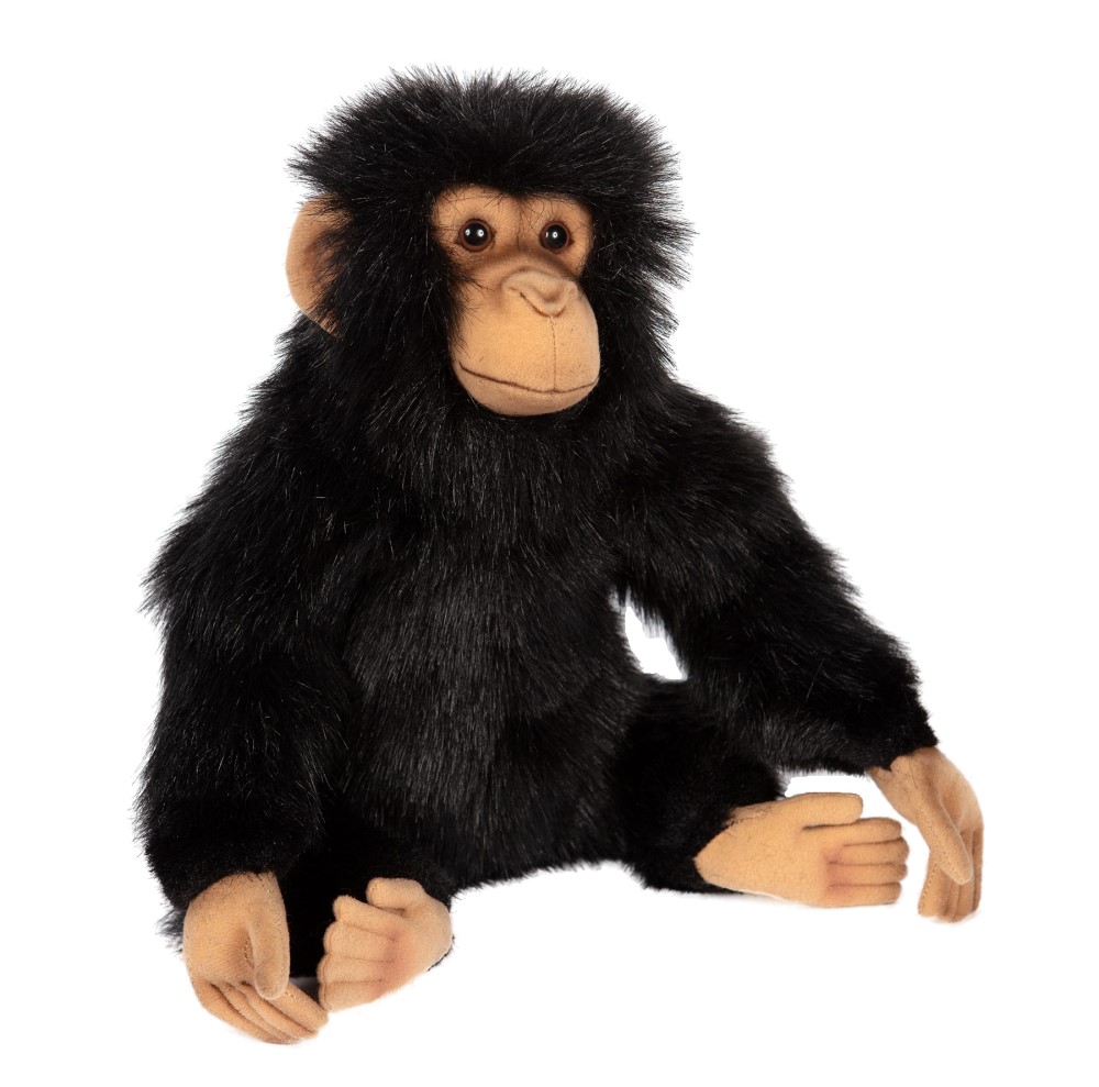 Chimp 24cmH