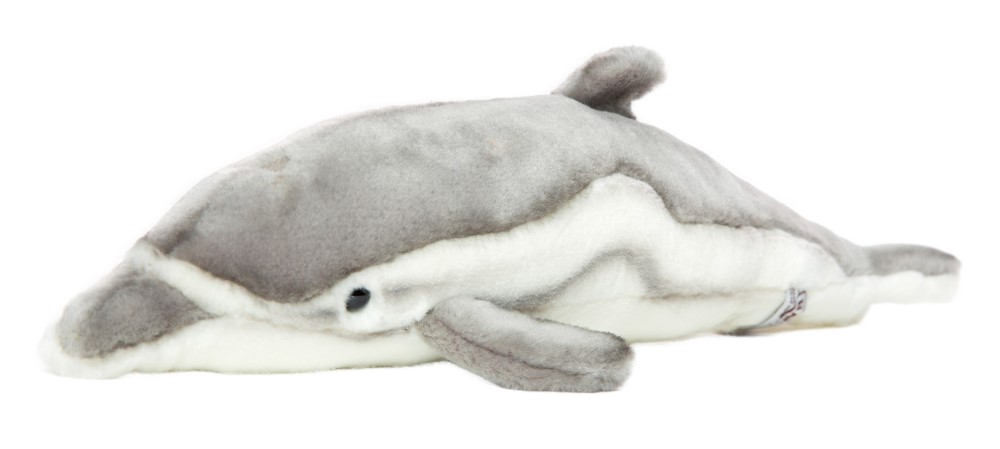 Dolphin 40 cmL