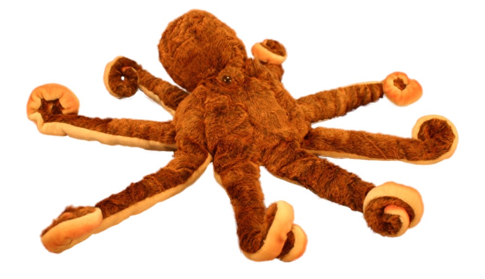 Octopus 70 cmL