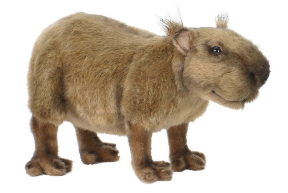 Capybara 33 cmL