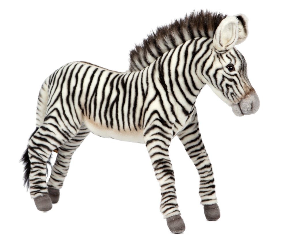 Zebra Grevy’s 32cmL