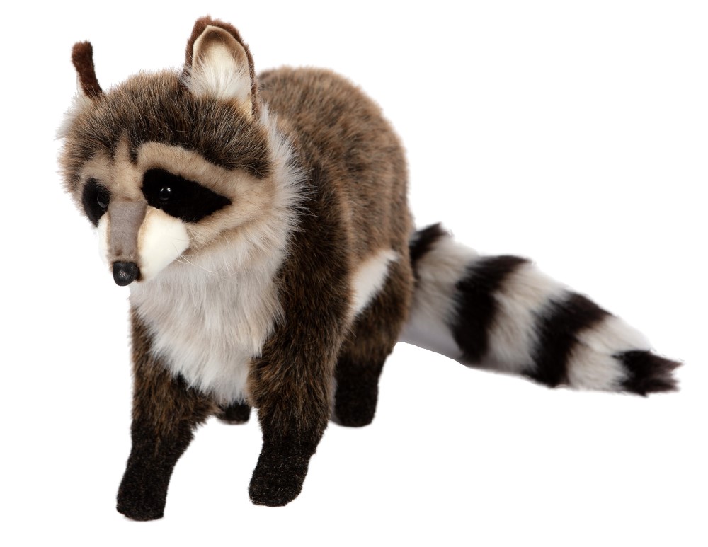 Raccoon Standing 45cmL