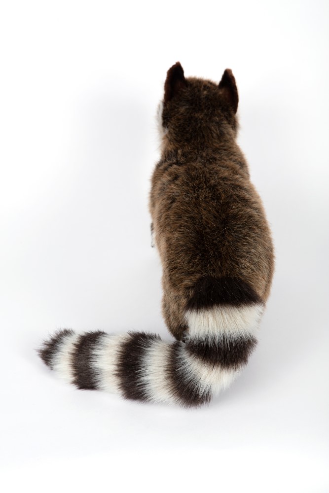 Raccoon Standing 45cmL - Hamac Trading