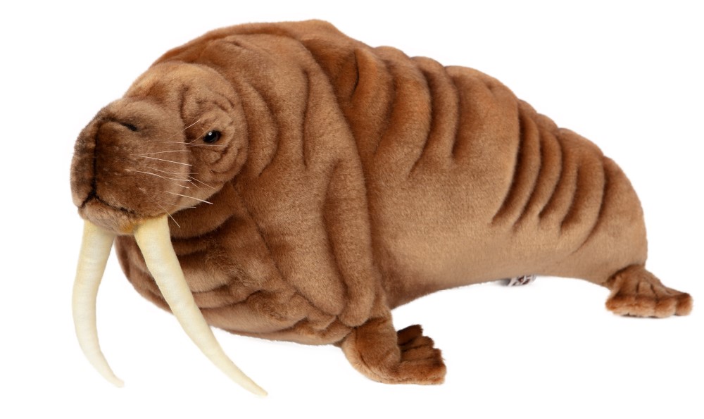 Walrus 38cmL