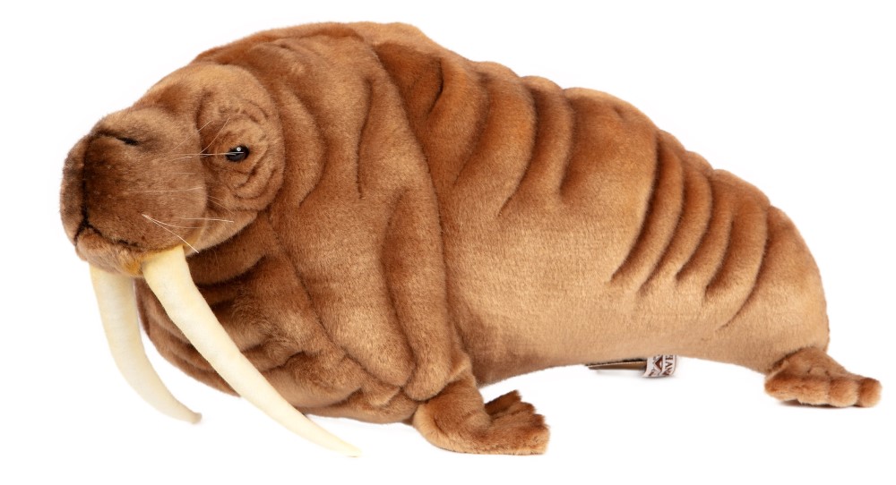 Walrus 48cmL