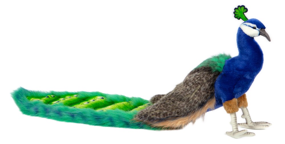 Peacock 100cmL