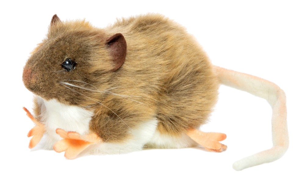 Fat Rat (Brown) 12cmL