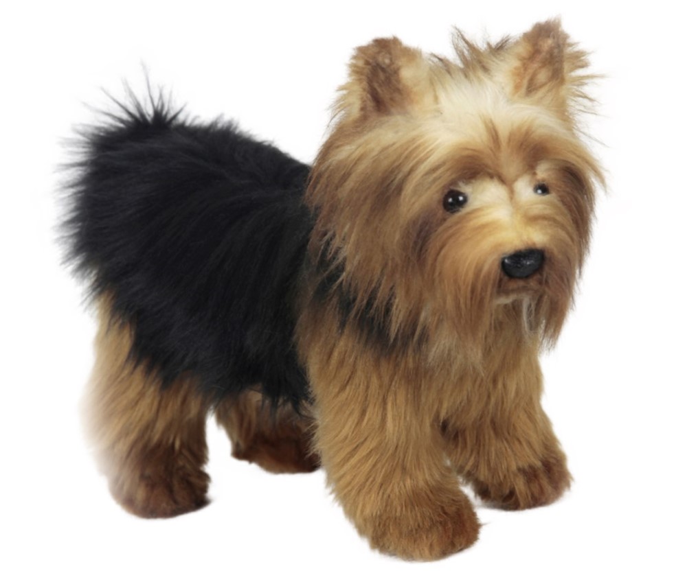 Yorkshire Terrier 25cmL
