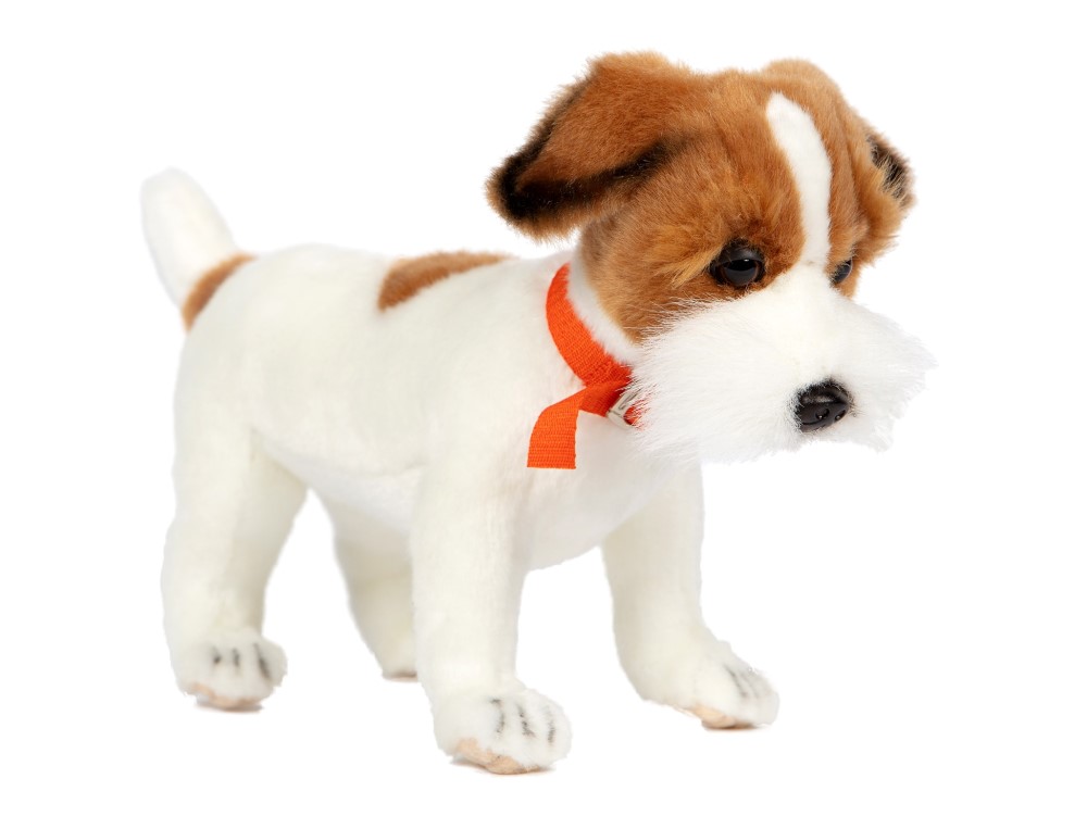 Jack Russell Terrier 31cmL