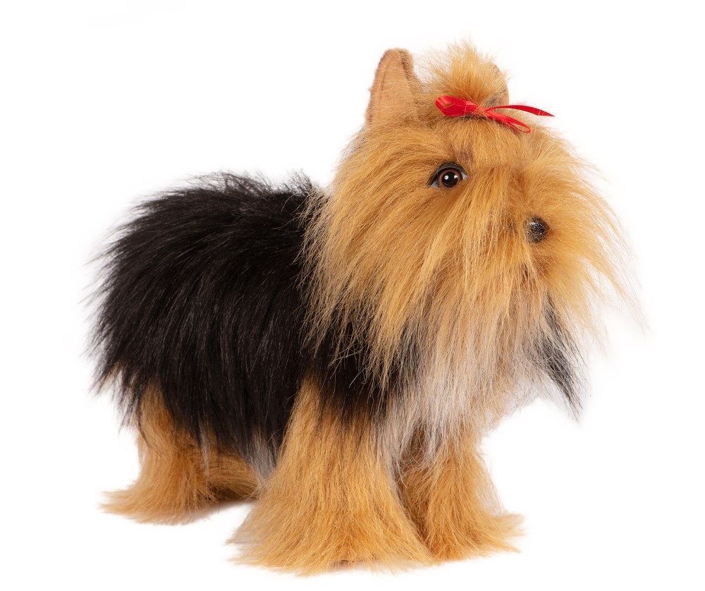 Yorkshire Terrier Standing 38cmL
