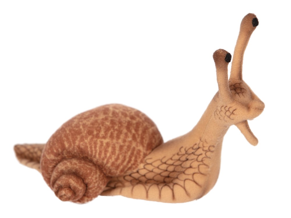 Escargot (Snail) 22cmL