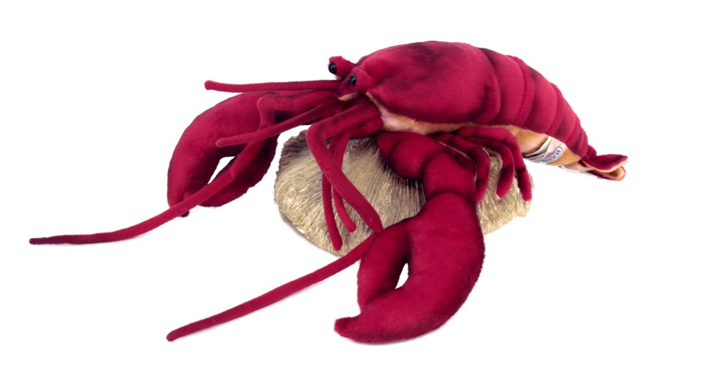 Lobster 40cmL
