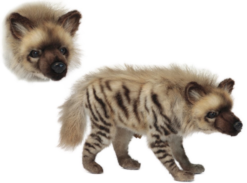Stripped Hyena 33cmL