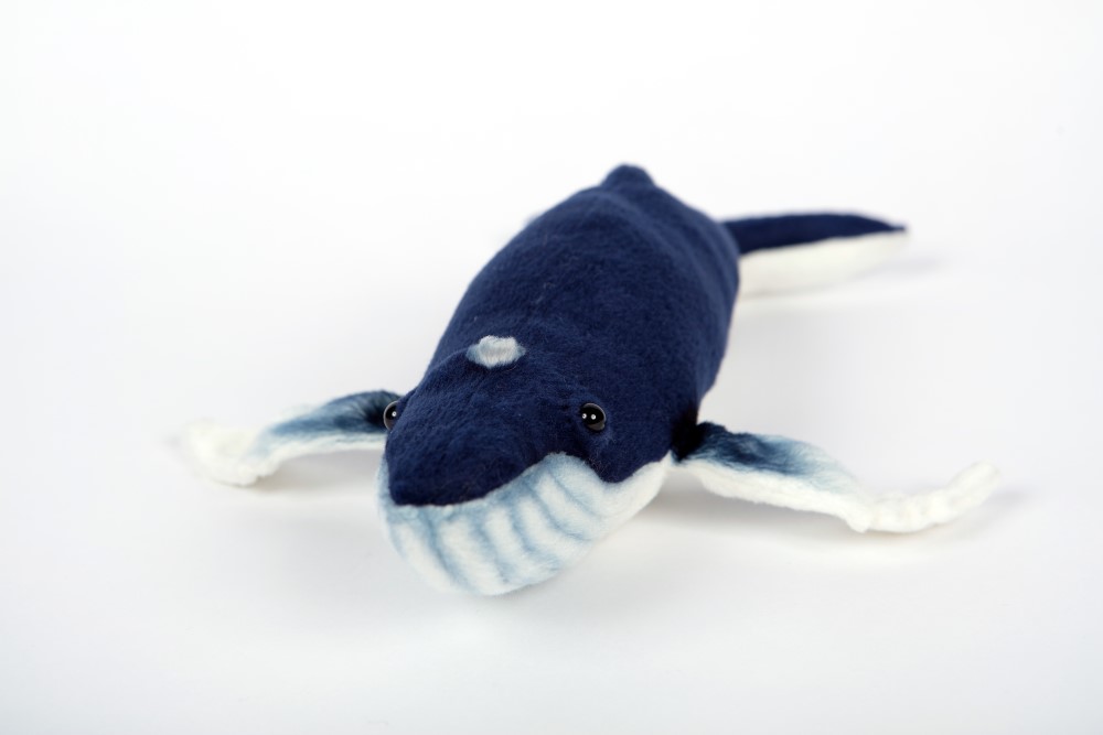 Humpback Whale 35cmL - Hamac Trading