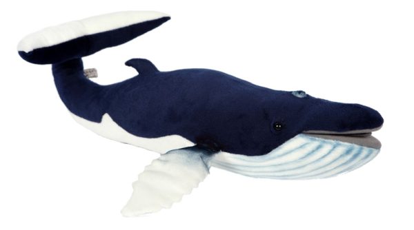 Humpback Whale 59cmL - Hamac Trading