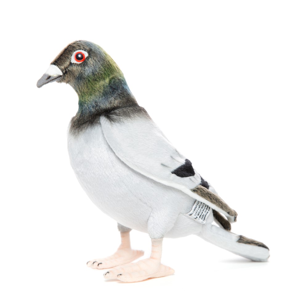 Pigeon 29cmL