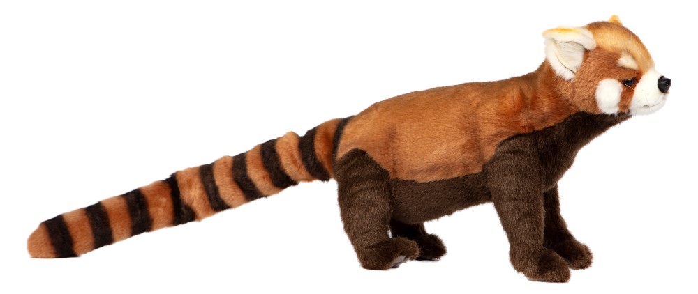 Red Panda Standing 67cmL