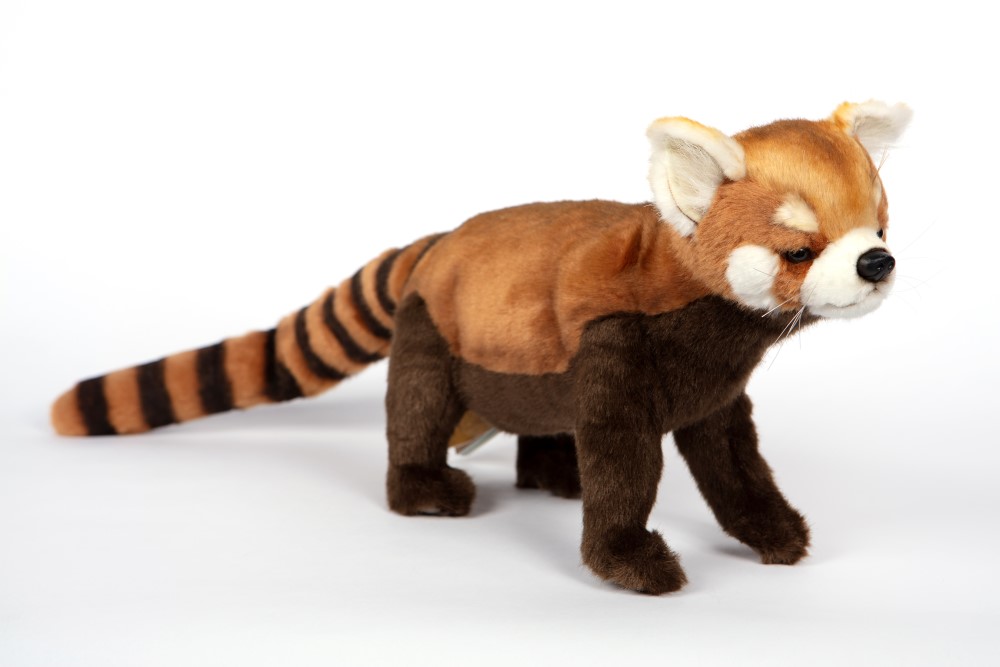 Htc6309~3