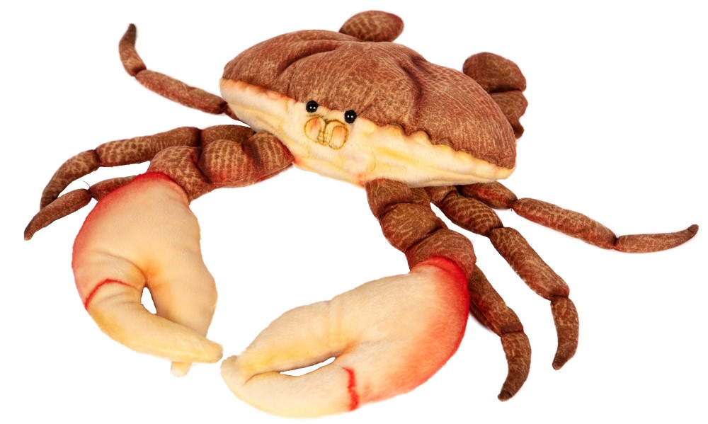 Crab (Orange) 35cmL