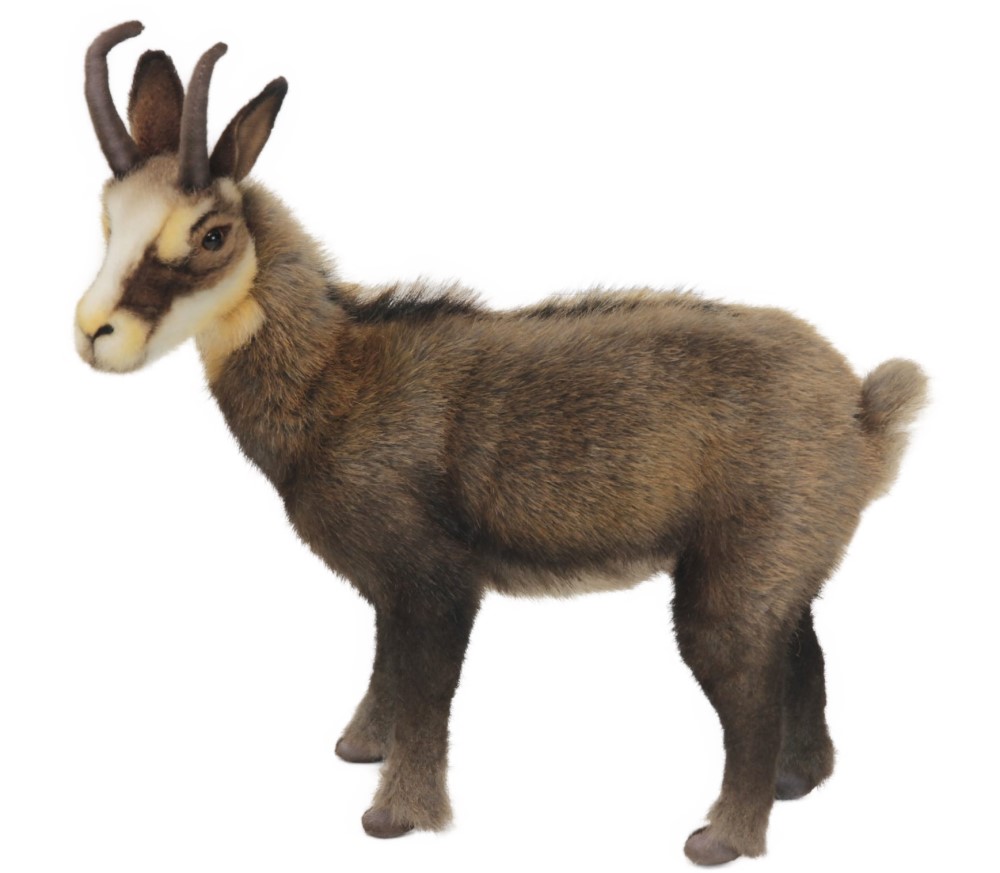 Chamois 32cmH