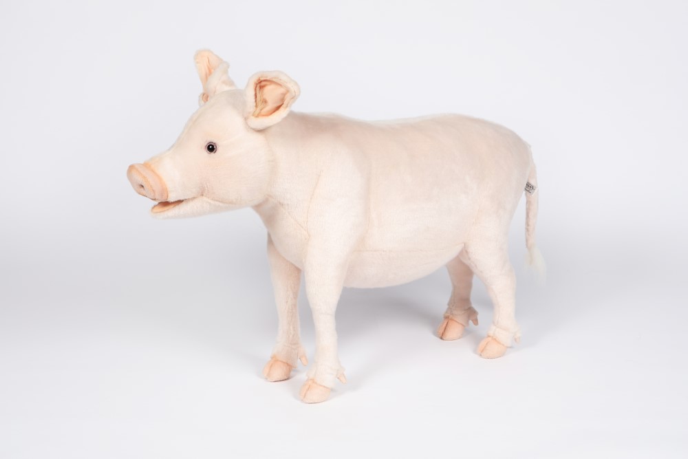 Htc6337~4