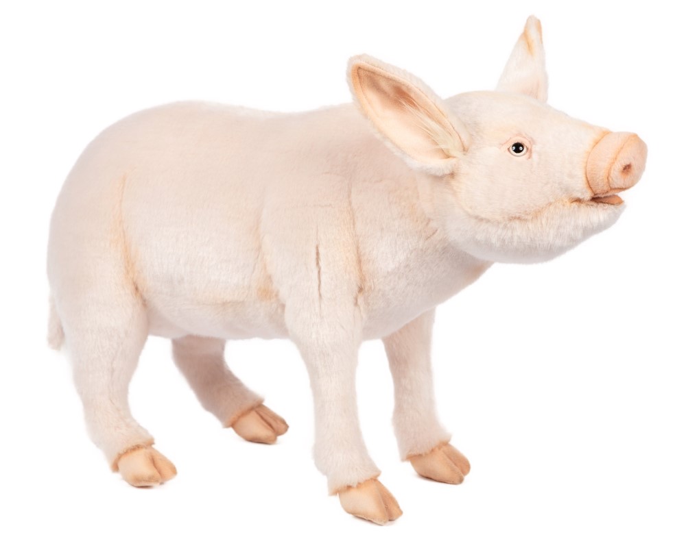 Pig Standing 63cmL