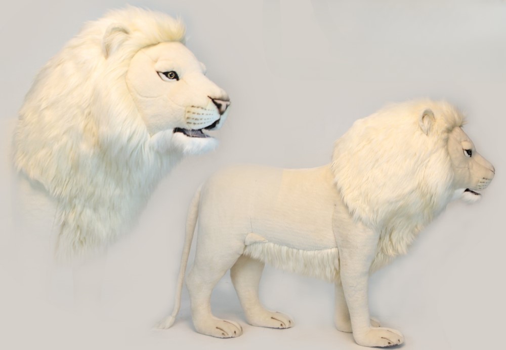 Lion Male White 140cmL