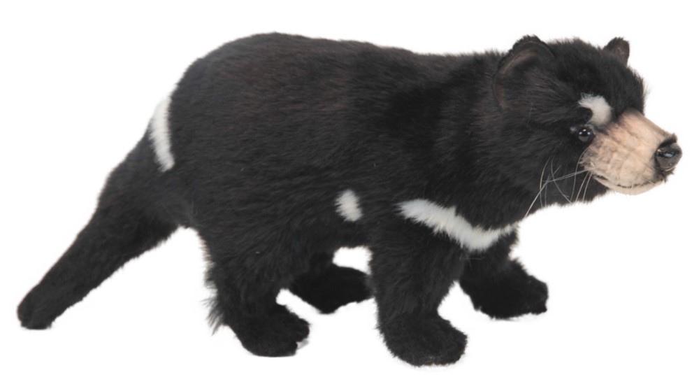 Tasmanian Devil 32cmL