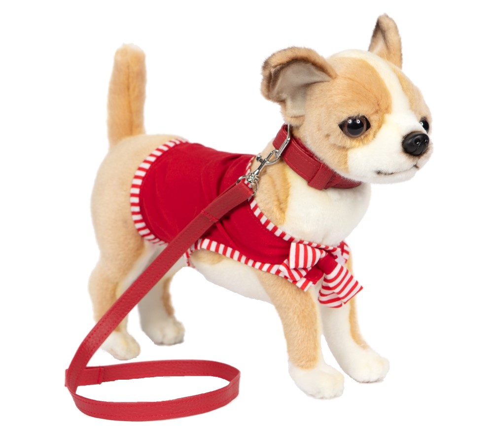 Chihuahua with Red Dress 27cmL