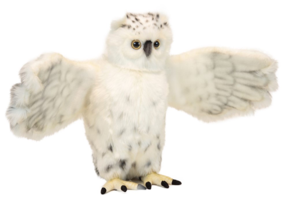 Snowy Owl Flying 54cmW