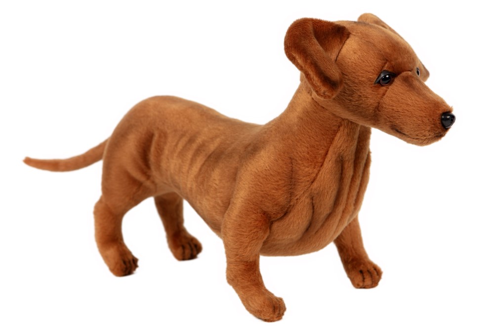Dachshund Standing 42cmL