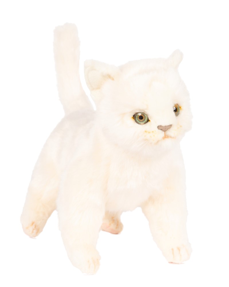 Kitten Standing 29cmL