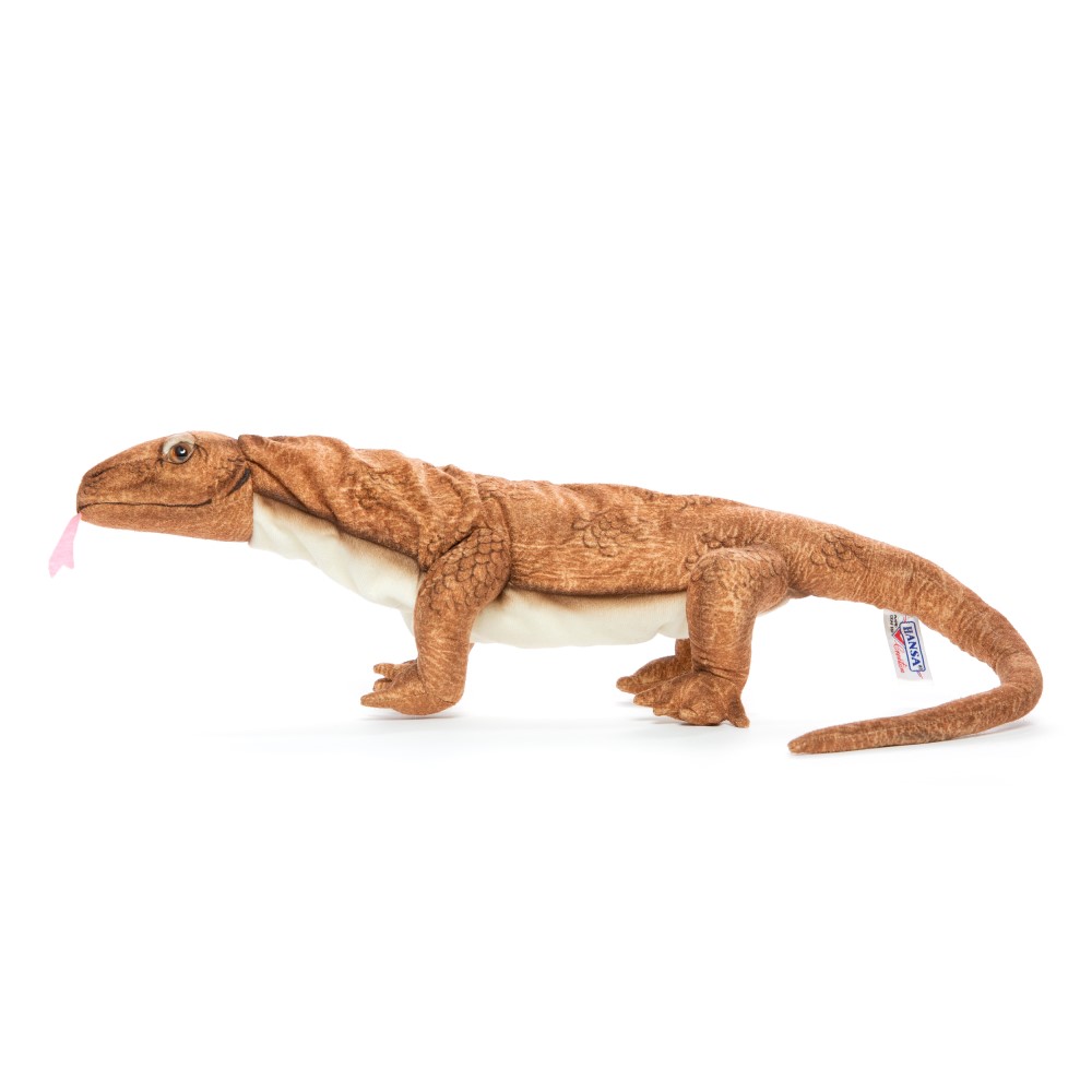 Komodo Dragon 70cmL - Hamac Trading