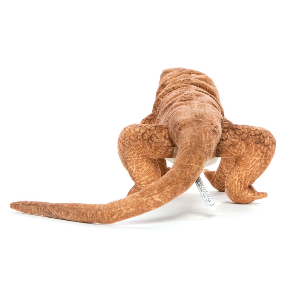 Komodo Dragon 70cmL - Hamac Trading