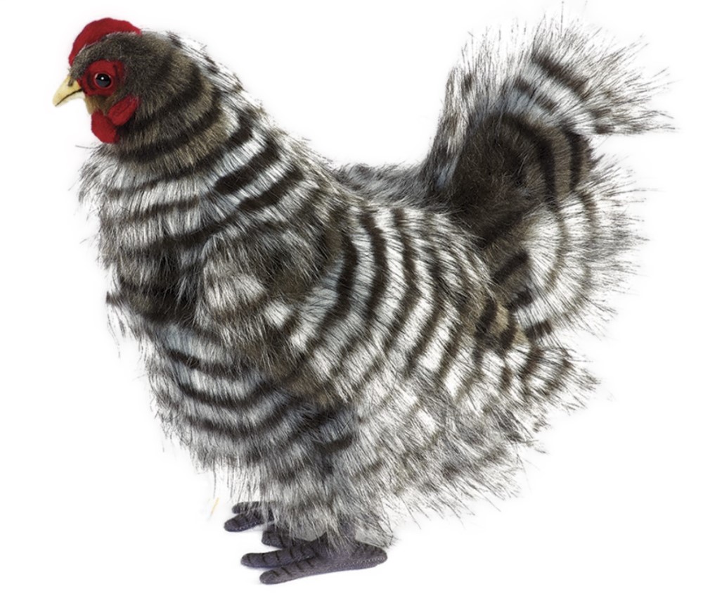 Japanese Chicken 30cmL