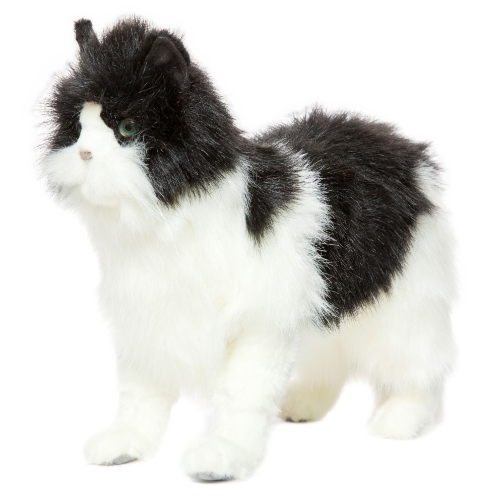 Cat (Black/White) 46cmL
