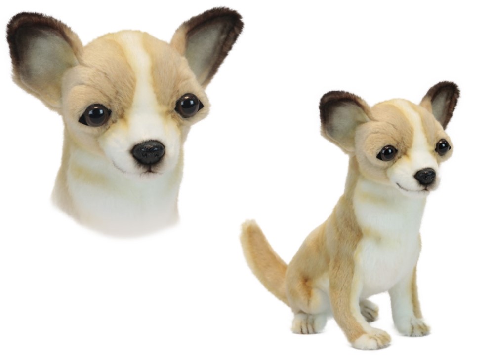 Chihuahua Sitting 31cmL