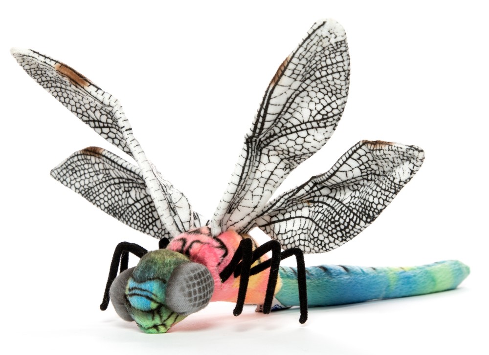 Dragonfly 33cmW