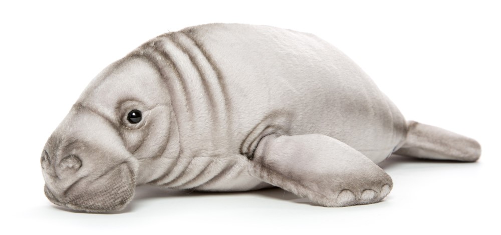 Manatee 45cmL